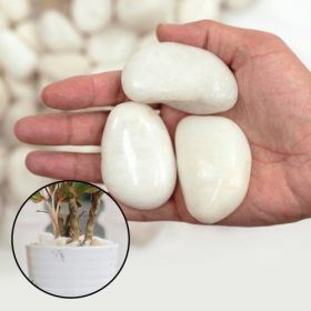 38lbs Decorative Garden Stone Outdoor Landscaping, Walkways, Yard, 2-3 inch Large Polished River Rocks for Plants Pots, Vases, Crafts